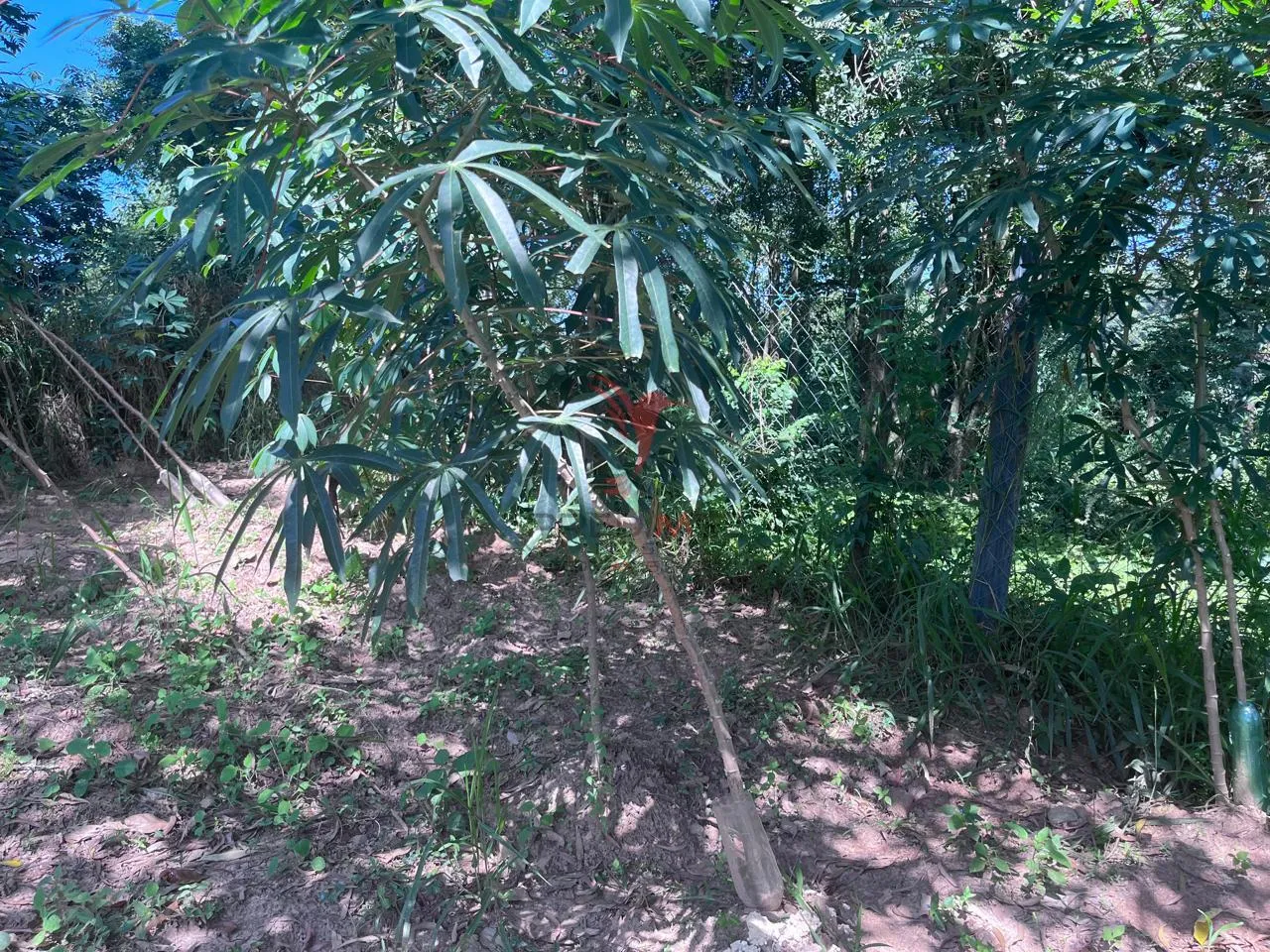 Imagem Sítio com 8.000 metros a venda em Araçariguama, no bairro Ella