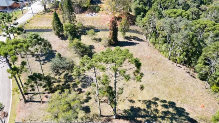 Imagem Lote de Alto Padrão em Campos do Jordão | Reserva Figueiredo