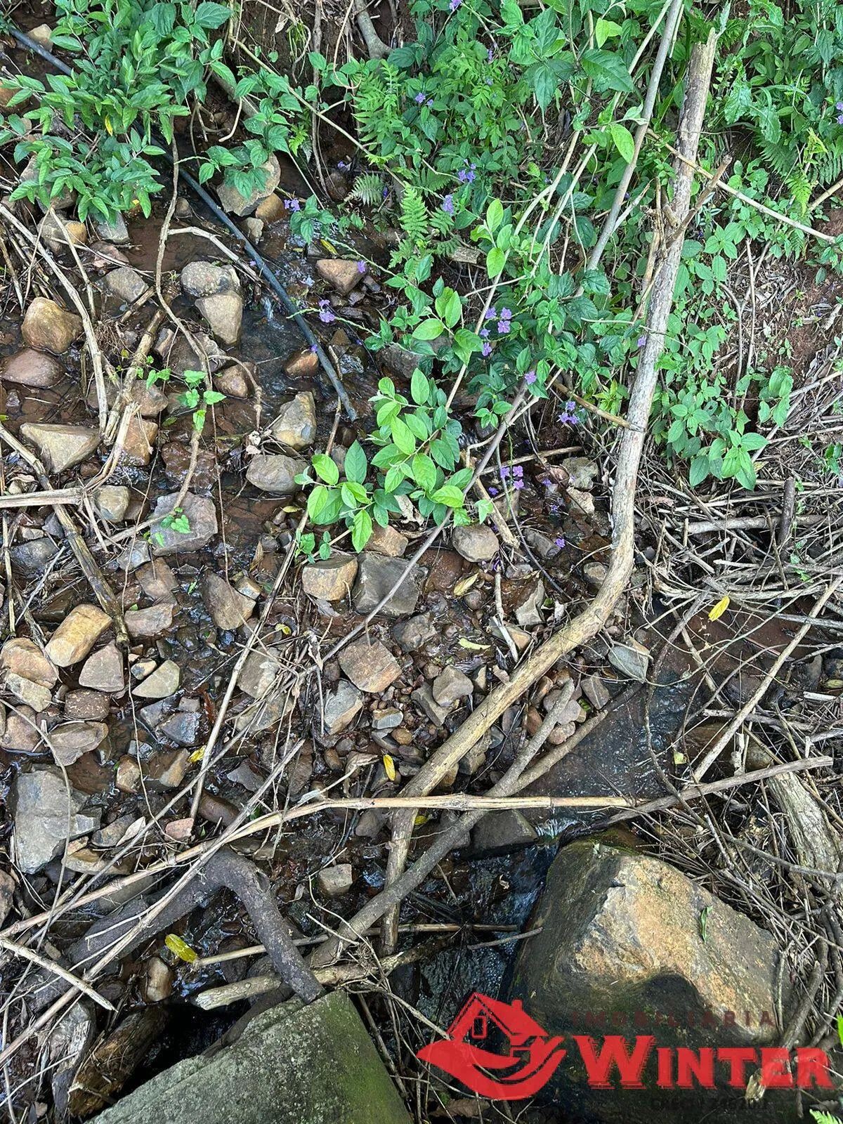 Imagem Área de terras com 10 hectares em Linha Nova