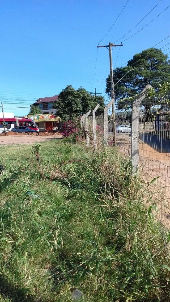 Imagem Terreno na vila nova