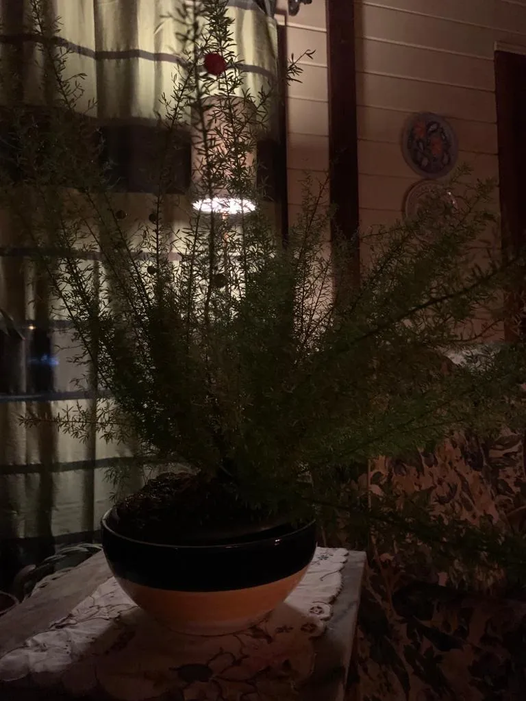 Imagem Venha se encantar com esta belíssima Casa de Campo localizada em um Condomínio Fechado!