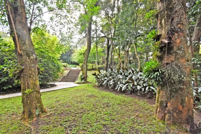 Imagem Casa com 5 dormitórios à venda, 976 m² por R$ 16.000.000,00 - Cidade Jardim - São Paulo/SP