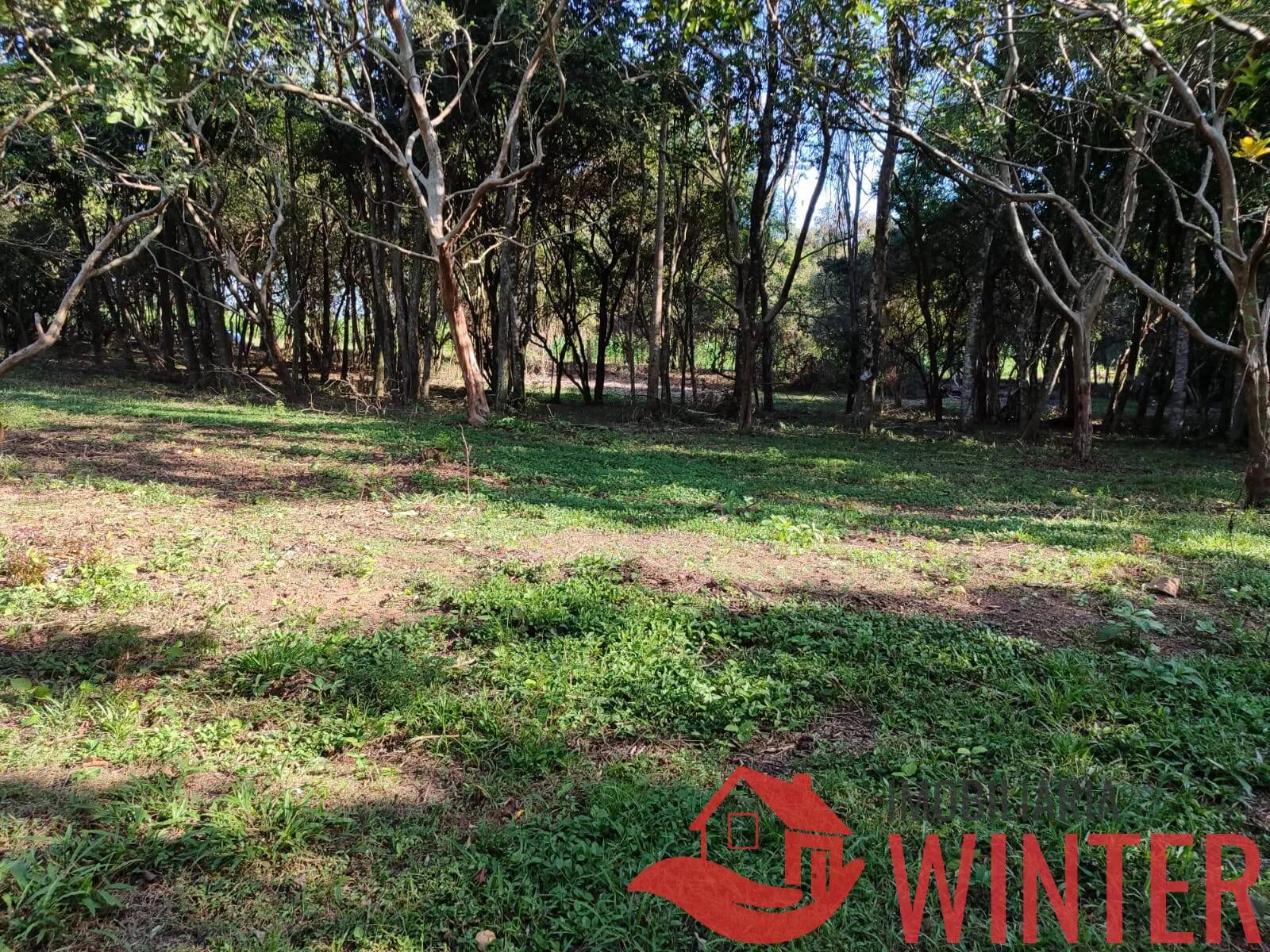 Imagem Área de terras plana com 4.800,00m² em Morro São Pedro, Bom Princípio.