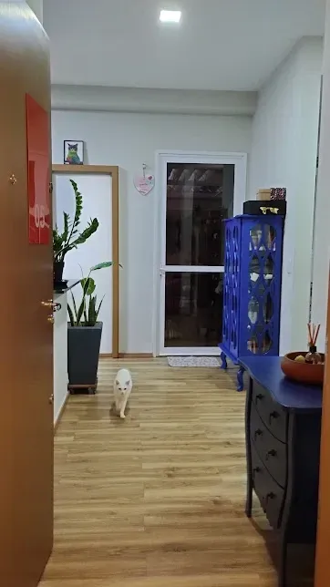 Imagem Apartamento com 2 Quartos à Venda, 107 metros em Jardim do Lago - Jundiaí