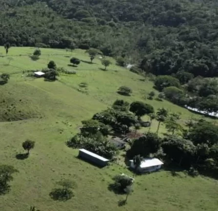Imagem RESERVAS DO ESCONDIDO - MATA ATLÂNTICA