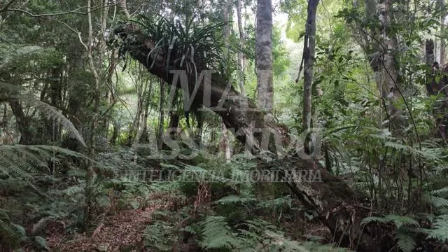 Imagem Terreno para venda loteamento colinas, são francisco de paula