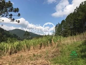 Foto do imóvel Terreno à venda, 7000 m2 por R$ 424.000,00 - Zona Rural - Canela/RS