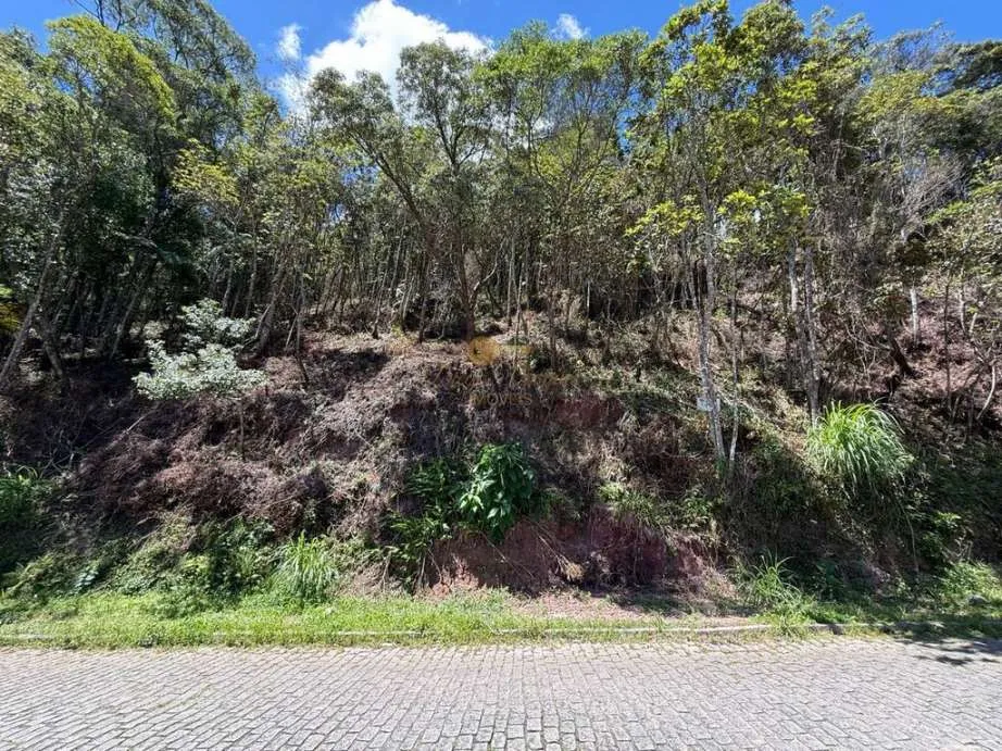 Imagem Terreno para Venda em Teresópolis / RJ no bairro Várzea