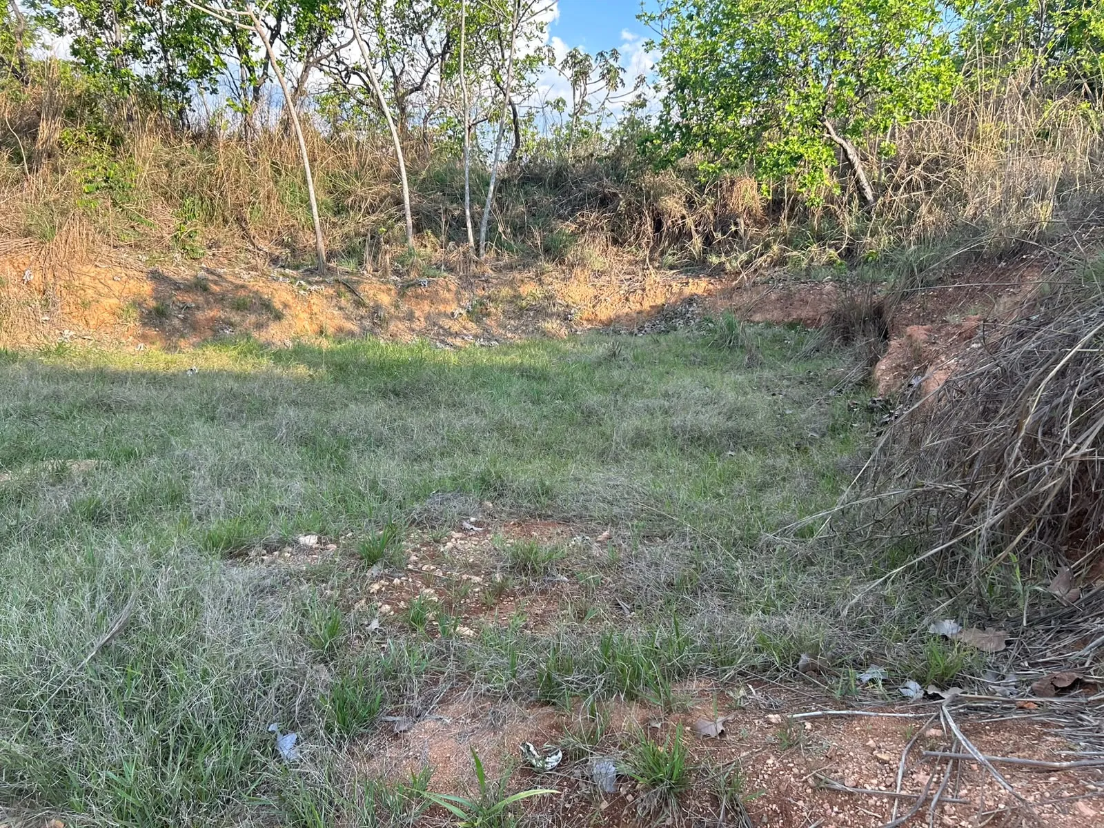 Imagem Terreno na estrada do manso