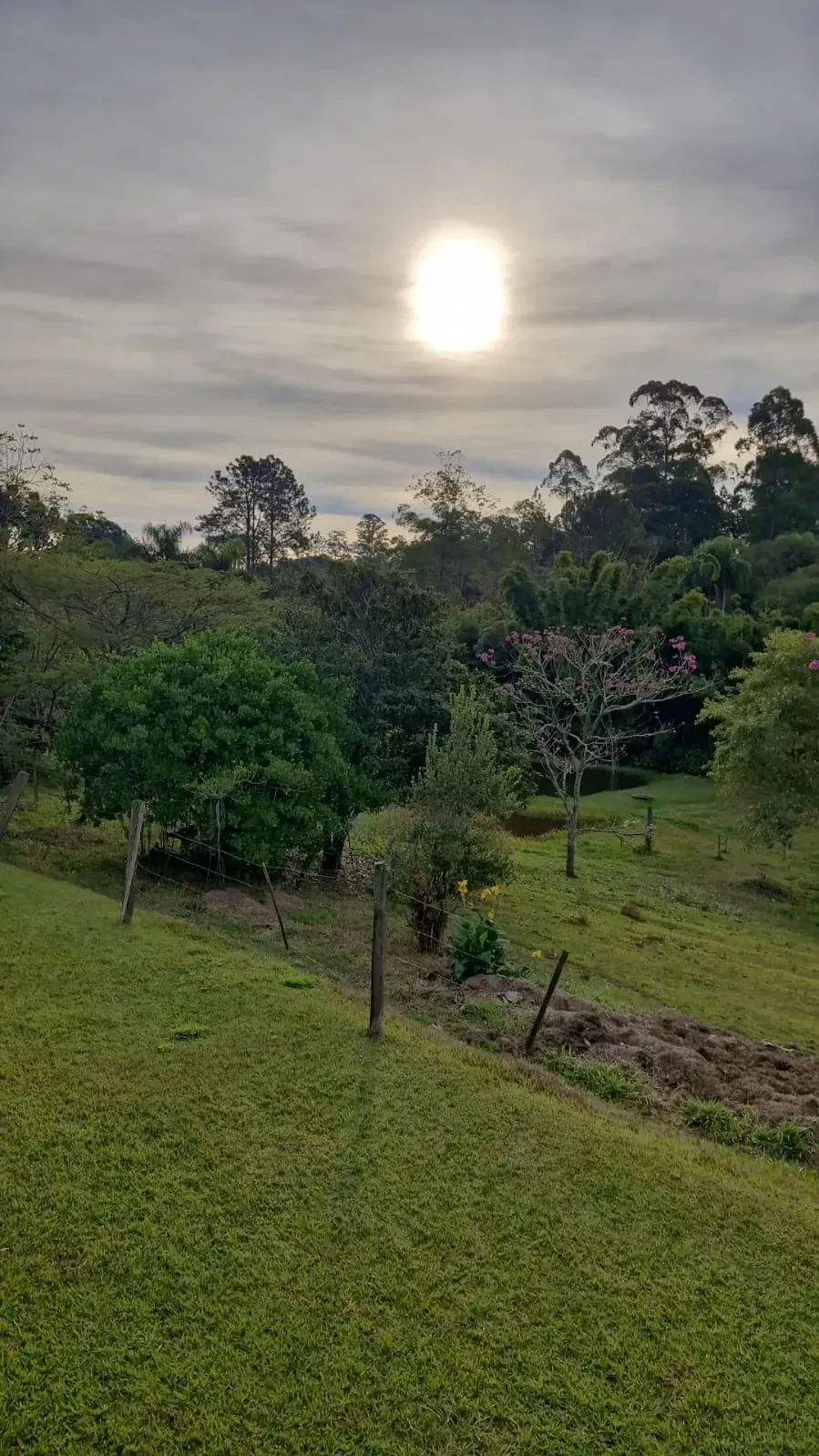 Imagem Sítio à Venda, 18000 metros em Campininha (Canguera) - São Roque