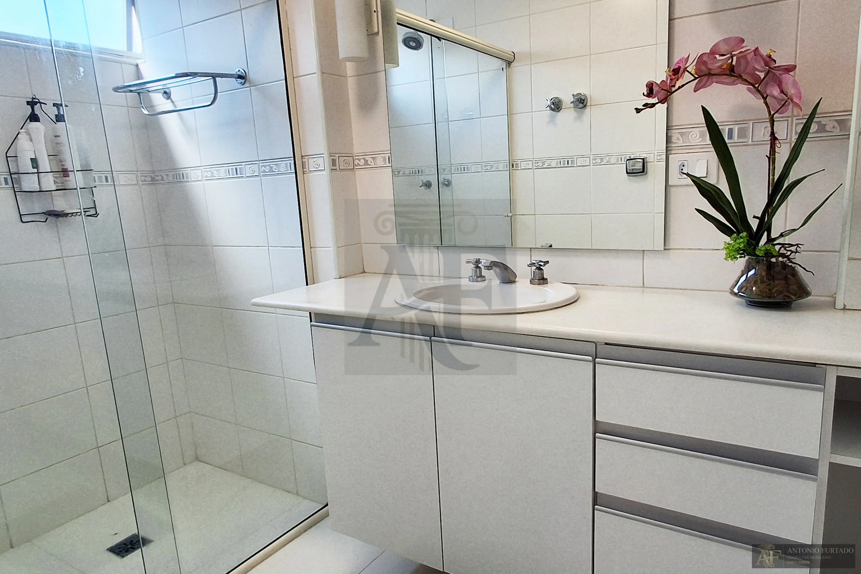 Imagem Apartamento para alugar em Vila Mariana, São Paulo