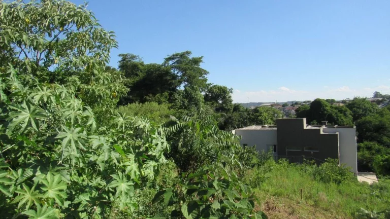 Imagem Terreno para Venda em Concórdia, Jardim