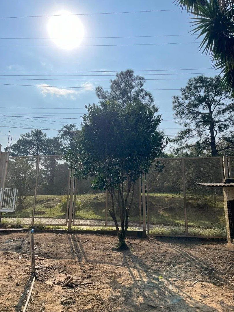 Imagem Terreno em Teresópolis