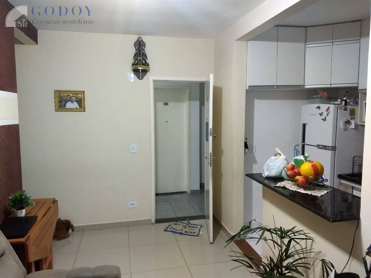 Imagem Apartamento à venda 1 Vaga, Vila Mariana, Aparecida - SP | Vila Mariana