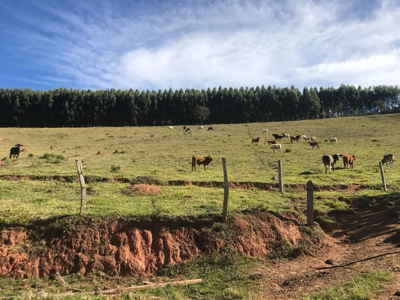 Imagem Chácara à venda 3 Quartos, 157000M², Bailaiero, Cunha - SP