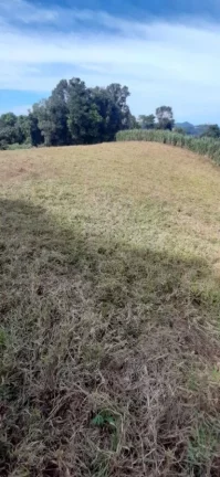 Imagem Área Agrícola para Venda em Ipumirim, Interior