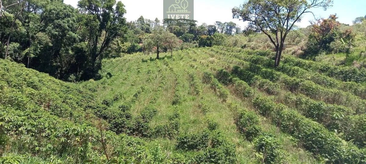 Imagem Terreno no Bairro da Lagoa - Oportunidade Única!