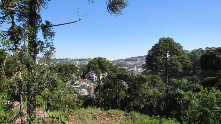 Imagem Terreno para Venda em Concórdia, Jardim