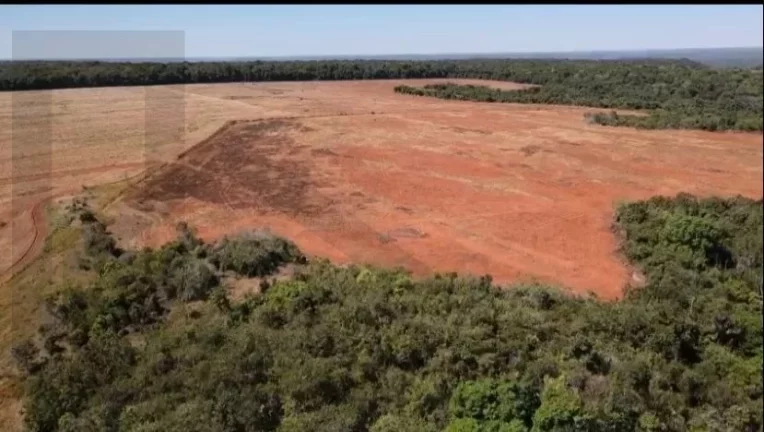 Imagem CASAL IMÓVEIS VENDE FAZENDA SOJA EM NOVA CANAÃ 2.200 HECTARES