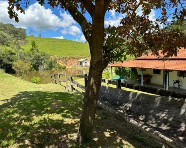 Imagem Oportunidade de Fazenda em Cláudio/MG 84 Hectares de terra