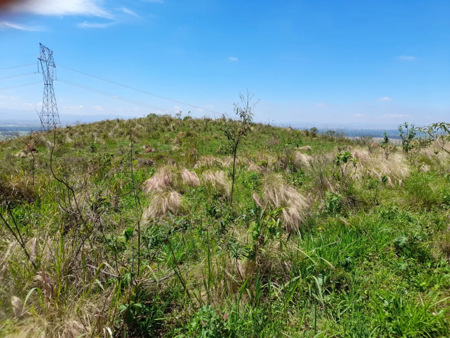 Imagem Chácara à venda 20000M², Mandú, Pindamonhangaba - SP