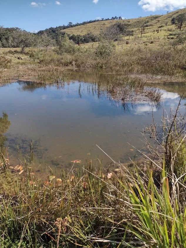 Foto do imóvel Vendo terreno em Crucilândia com 48 hectares de terra