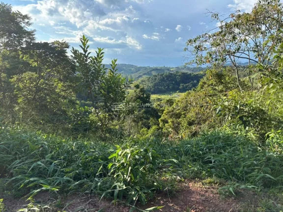 Imagem Chácara a venda
