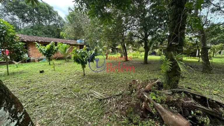 Imagem Imóveis Belém vende casa em Vigia