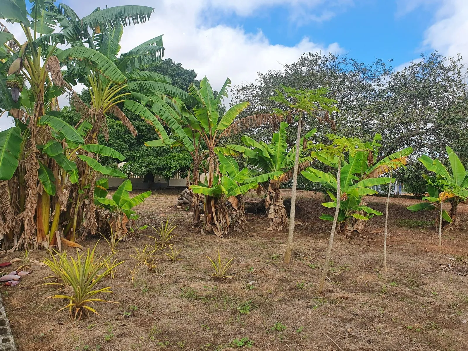 Imagem Chácara Completa à Venda em Araçoiaba da Serra - Bairro Araçoiabinha