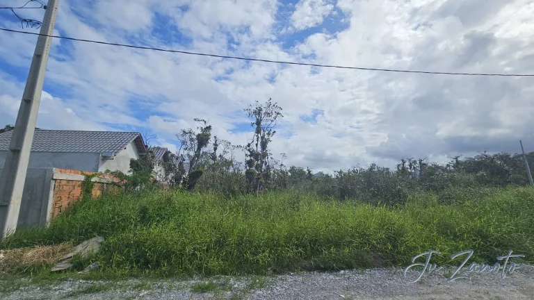 Imagem Terreno Lote Praia Grande Matinhos com Registro de Imóveis e IPTU