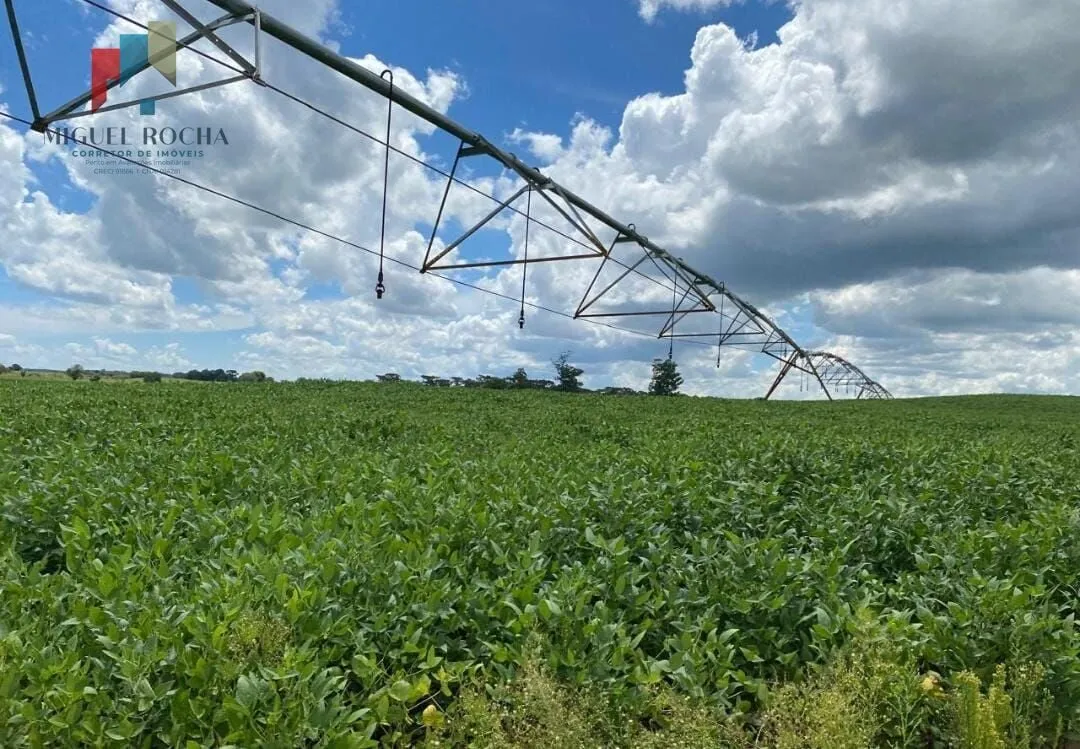 Imagem Fazenda região de Avaré SP