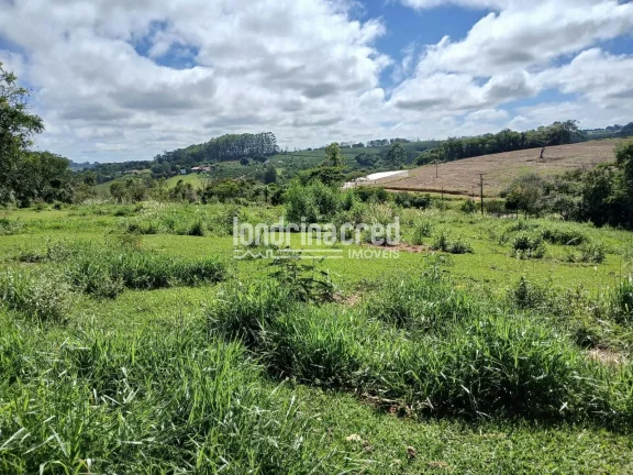 Imagem Sítio à venda, Flamenguinho, Ibaiti, PR