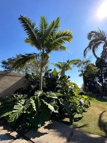 Imagem Casa com 5 Suítes na Fazenda Boa Vista
