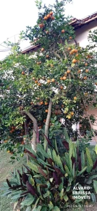 Imagem Ótima chácara na zona rural de itu em um condomínio fechado Itu/SP