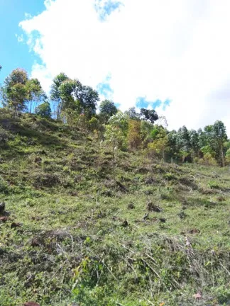 Imagem Terreno à Venda, 1.000 m² em Jardim Zaira - Mauá