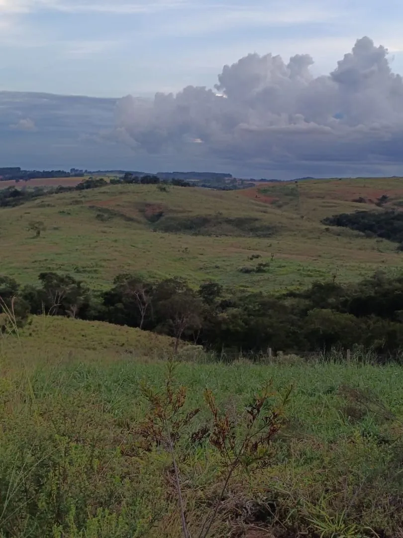 Imagem Chácara à venda, 20000 m² por R$ 430.000,00 - Área Rural de Patos de Minas - Patos de Minas/MG