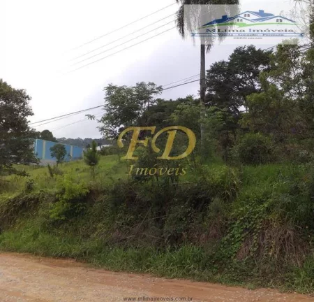 Imagem Área Industrial ou Comercial em Terra Preta / Mairiporã