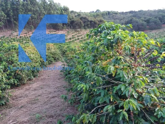 Imagem SITIO RURAL em CAPELINHA - MG, São Caetano do Lino