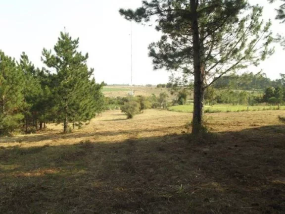 Imagem INVESTIDORES!!! Excelente área de 8 Hectares, frente RS040, Águas Claras