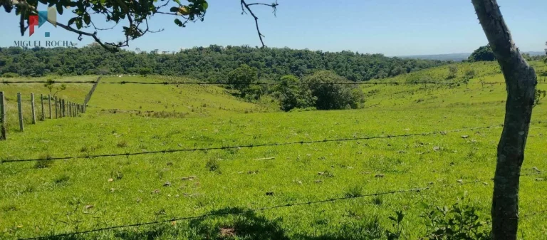 Imagem Sítio à venda no bairro Centro - Guareí/SP