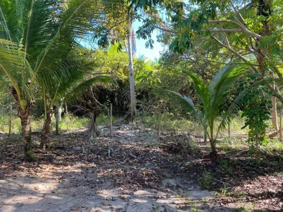Imagem PARAÍSO ESCONDIDO NO CASSANGE
