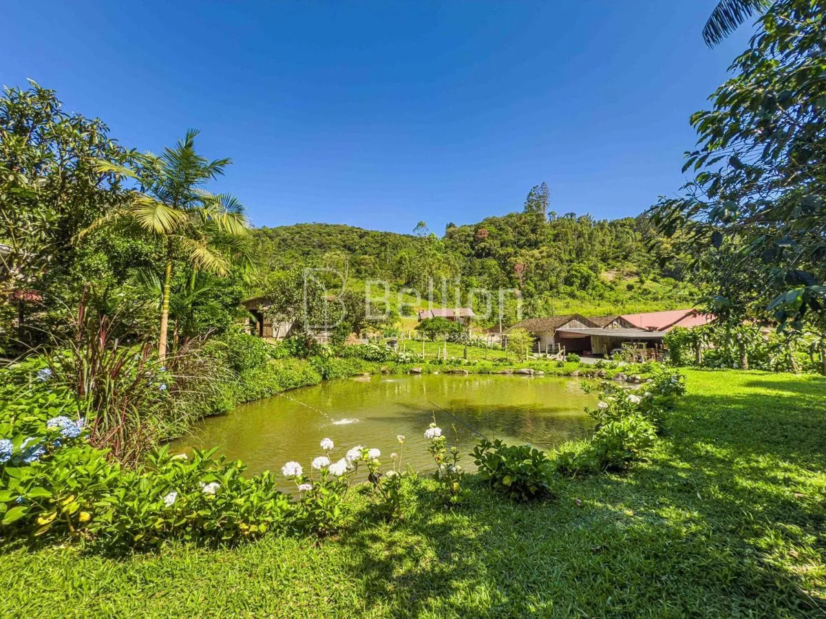 Imagem Sítio com lago e riacho em Rio dos Cedros