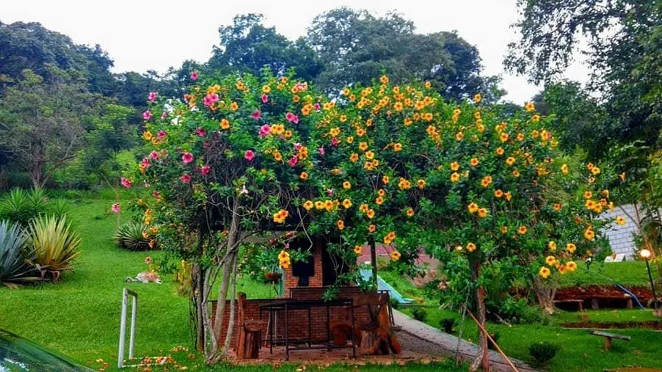 Imagem Vendo Sítio Espetacular em Itatiaiuçu/MG ,com 8.000 m² de área total,