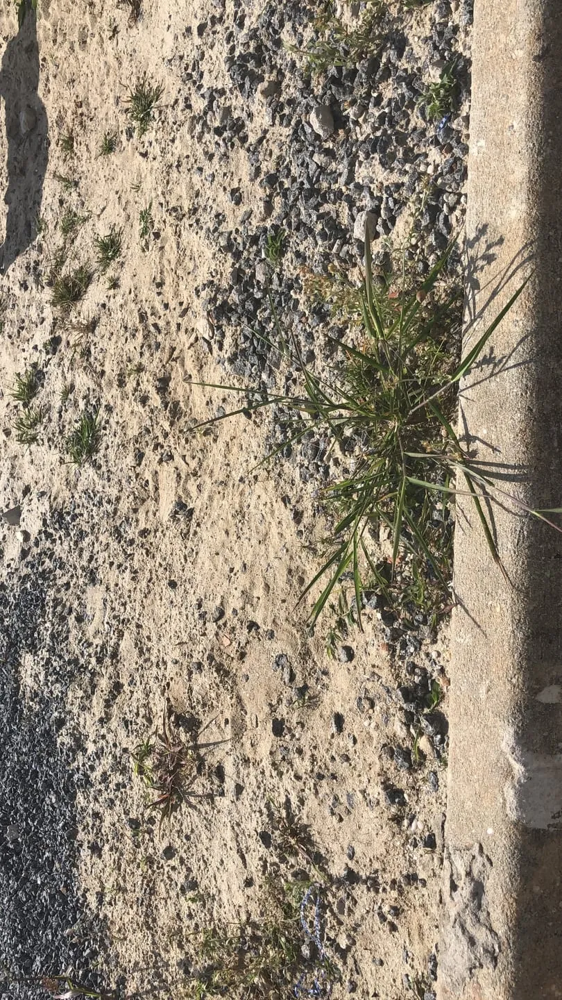 Imagem Terreno para Locação 250M², Residencial e Comercial Portal dos Eucaliptos, Pindamonhangaba - SP