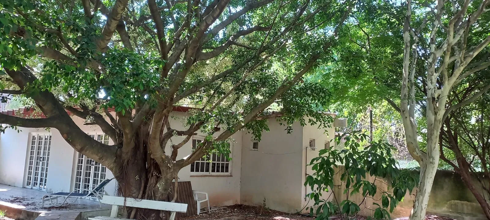 Imagem Apartamento em Rio Branco