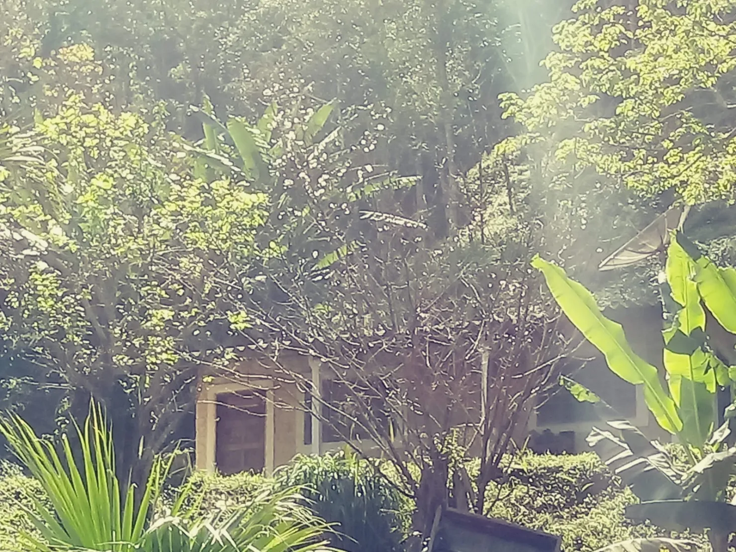 Imagem Chácara à venda 2 Quartos, 4 Vagas, 26000M², Bairro das Oliveiras, Pindamonhangaba - SP