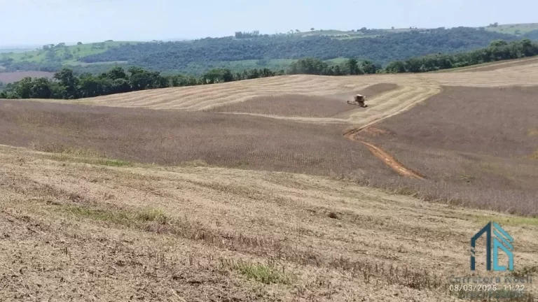 Imagem Fazenda com 57 alqueires (plantando 46) Solo roxo alta fertilidade, Engenheiro Beltrão PR