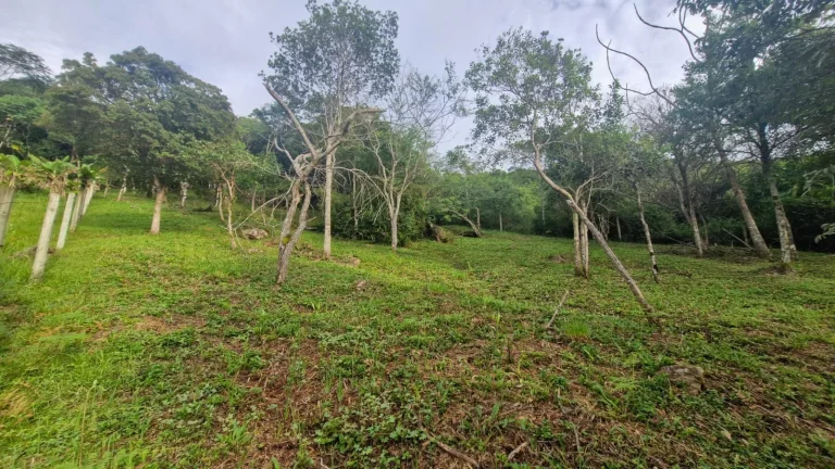 Imagem Terreno com Vista Panorâmica para o Mar à Venda no Bairro Macacu - Garopaba-SC