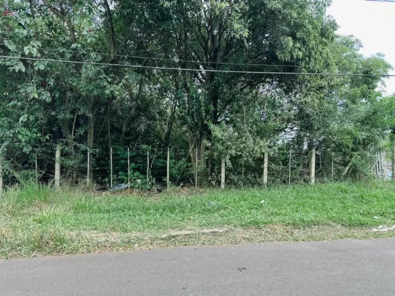 Imagem Terreno/Lote Residencial para venda no bairro Jansen em Gravataí