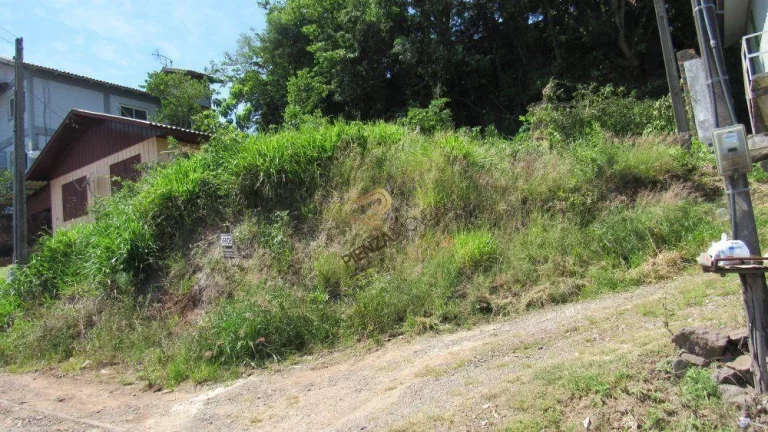 Imagem Terreno para Venda em Concórdia, Dos Estados